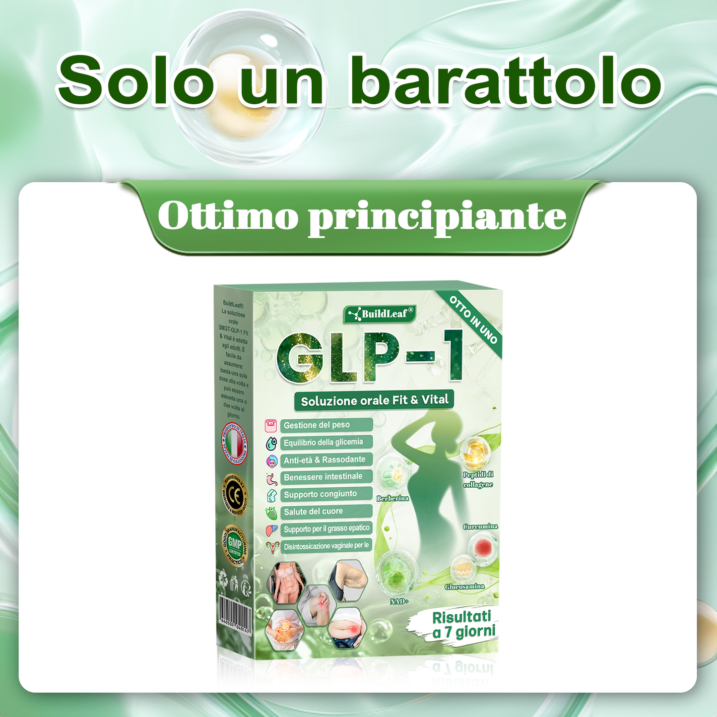 IT Negozio ufficialešBuildLeafĀ® GLP-1 8-in-1 Fit & Vital Soluzione Orale (Solo una volta al giorno, cambiamenti visibili in 7 giorni) ā
Per obesitĆ , salute cardiovascolare, diabete, apnea notturna, salute intestinale, problemi articolari e altro